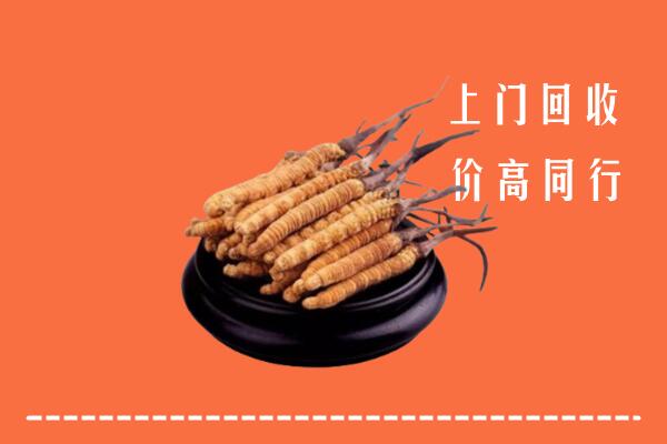 绥化海伦市回收散虫草