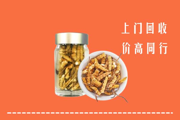 绥化海伦市回收冬虫夏草