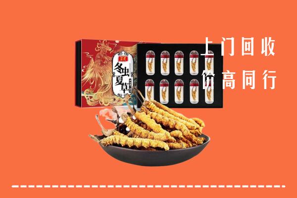 绥化海伦市回收虫草